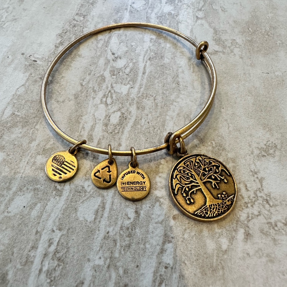 Alex and Ani Gold Charm Bracelet